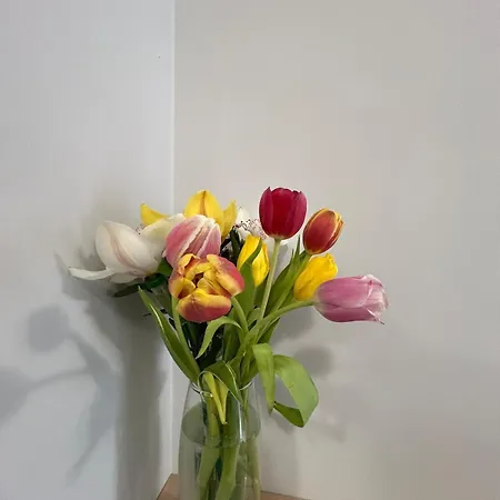 Apartmán Tanov Cozy Place