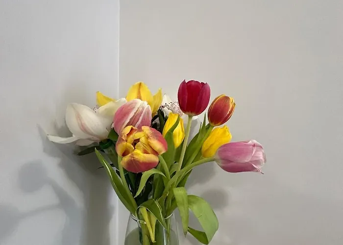 Apartament Tanov Cozy Place